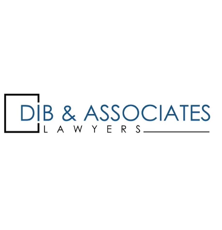 dib-lawyers